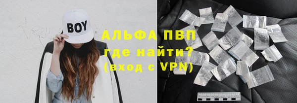 индика Алексин