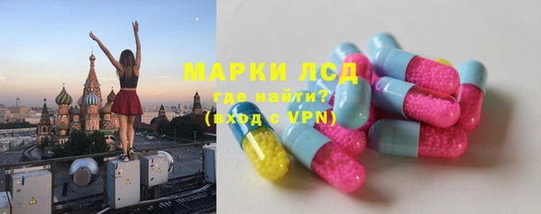 индика Алексин