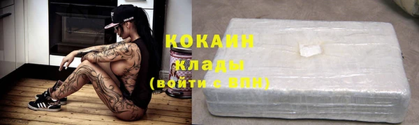 индика Алексин