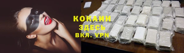 индика Алексин