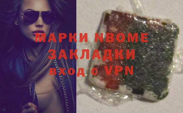 индика Алексин