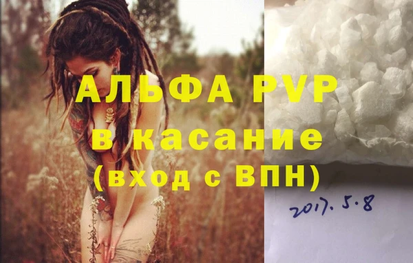индика Алзамай